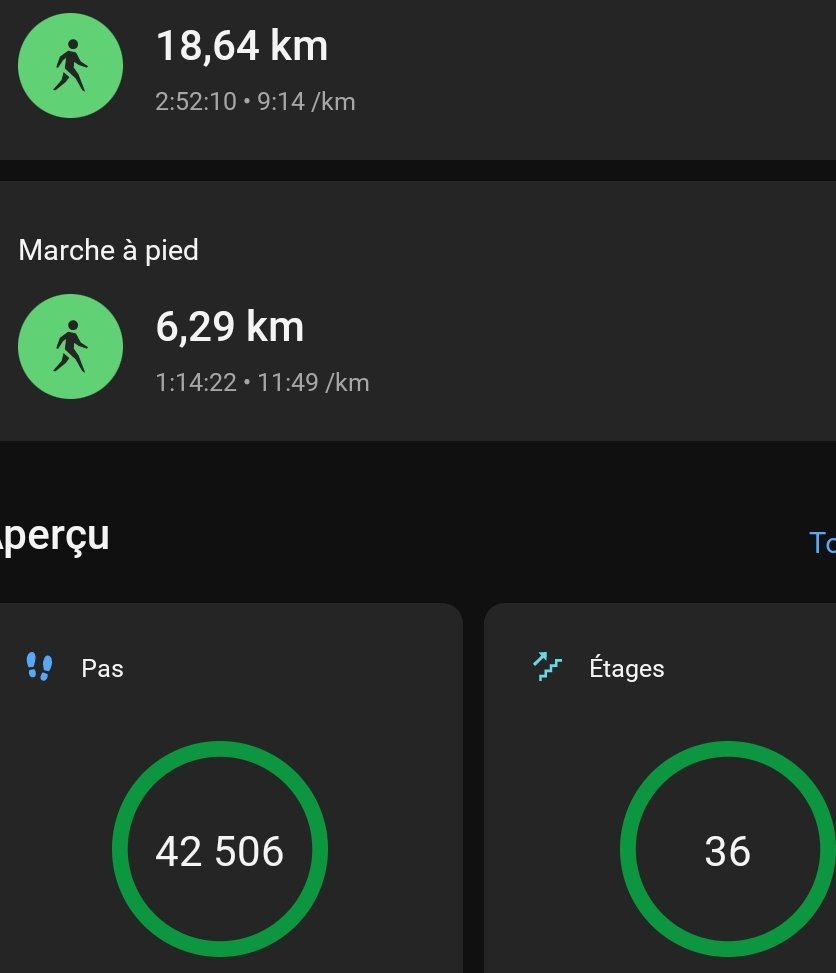 Mes pas et activités du jour 💫 @Lucy51602801 @yoelegicorrer1 #YoElegiCorrer #garmin #fenix7xSolar #sportludo @garminfrance @garmin #maigrir #sport #instafitness #athlete #marche #marcheur #courreur