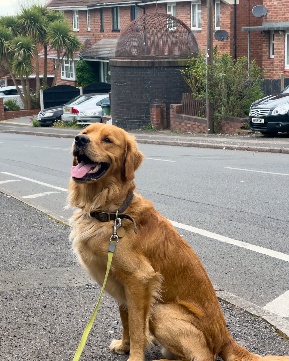 Finlay #RedMoonshine has found the #GostyHillTunnel air vent while out exploring the #DudleyNo2Canal earlier. #BoatsThatTweet #KeepCanalsAlive #LifesBetterByWater #FundBritainsWaterways #BCNS #BCN #TowpathWalks #CanalTunnels #Dudley #Halesowen redmoonshine.com