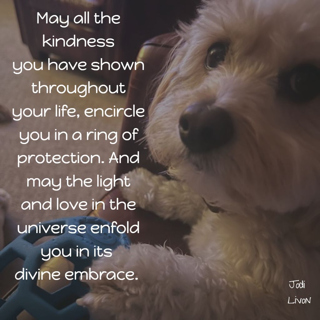 May all the kindness you have shown throughout your life encircle you in a ring of protection. #weareone #ThinkBIGSundayWithMarsha #quotes #thehappymedium