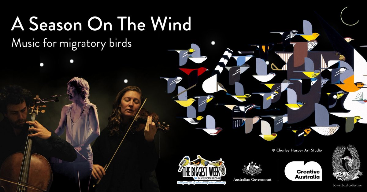 Join our friends & partners at The Toledo Museum of Art on Monday, May 13, to experience songbird migration in a whole new way at 'A Season on the Wind: A Cinematic Concert Celebrating Migratory Birds.' Tickets are available at bit.ly/4dl0MRV. @BiggestWeek @ToledoMuseum