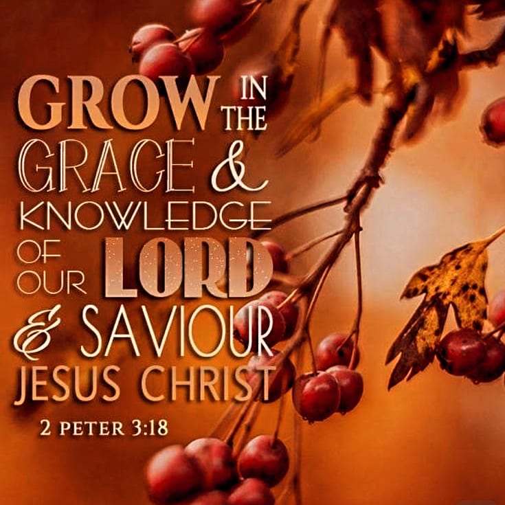 Neither do men light a candle, and put it under a bushel, but on a candlestick; and it giveth light unto all that are in the house. Let your light so shine before men, that they may see your good works, and glorify your Father which is in heaven.