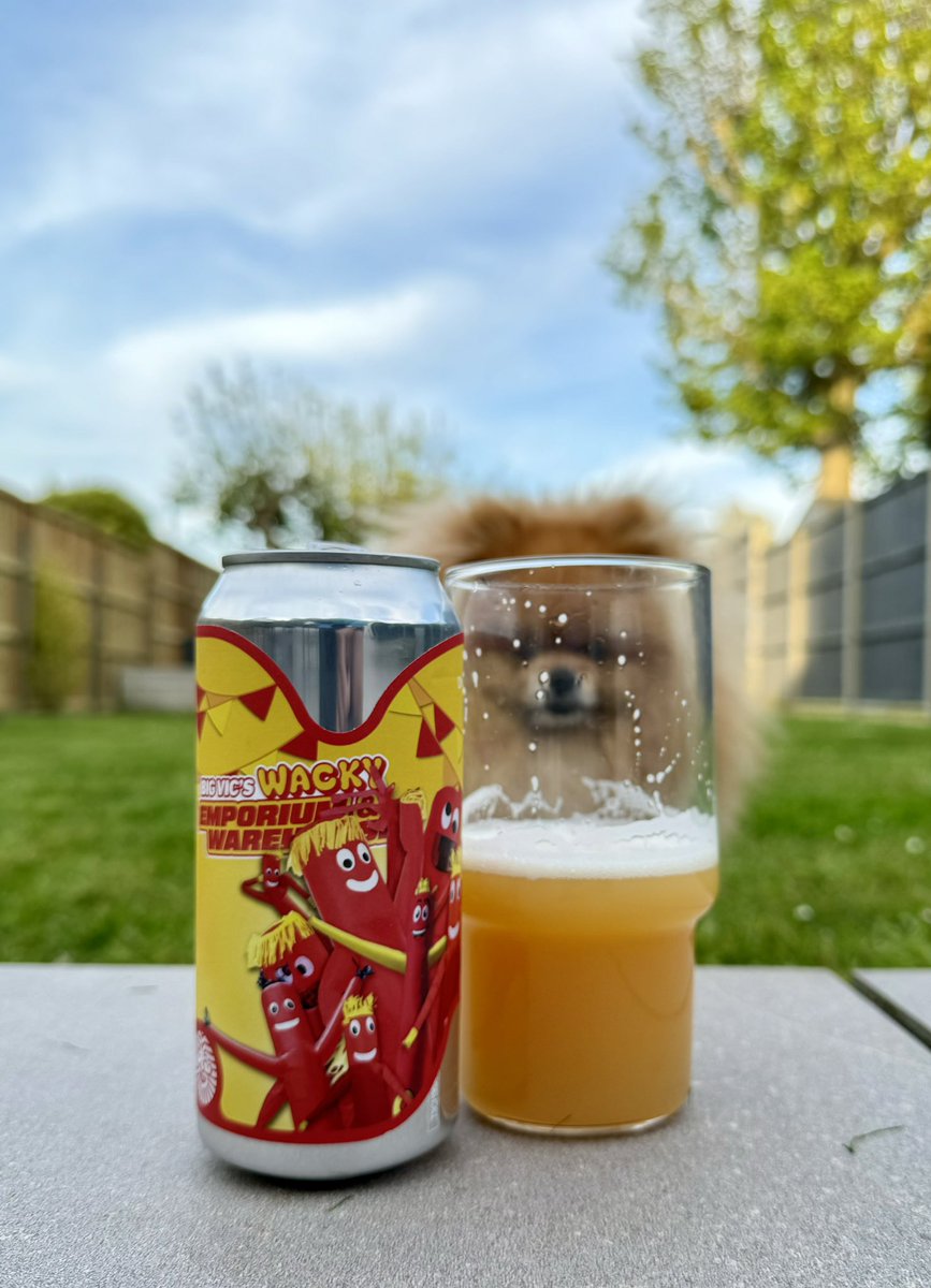 Sunday evening tipple a quality drop of @sureshotbrew Thick, dank & hoppy, creamy texture with a hint of booze lurking in the background. Had to get the glass changed though it appeared that there was a Pom in it! Lovely stuff! This one courtesy @premierhop