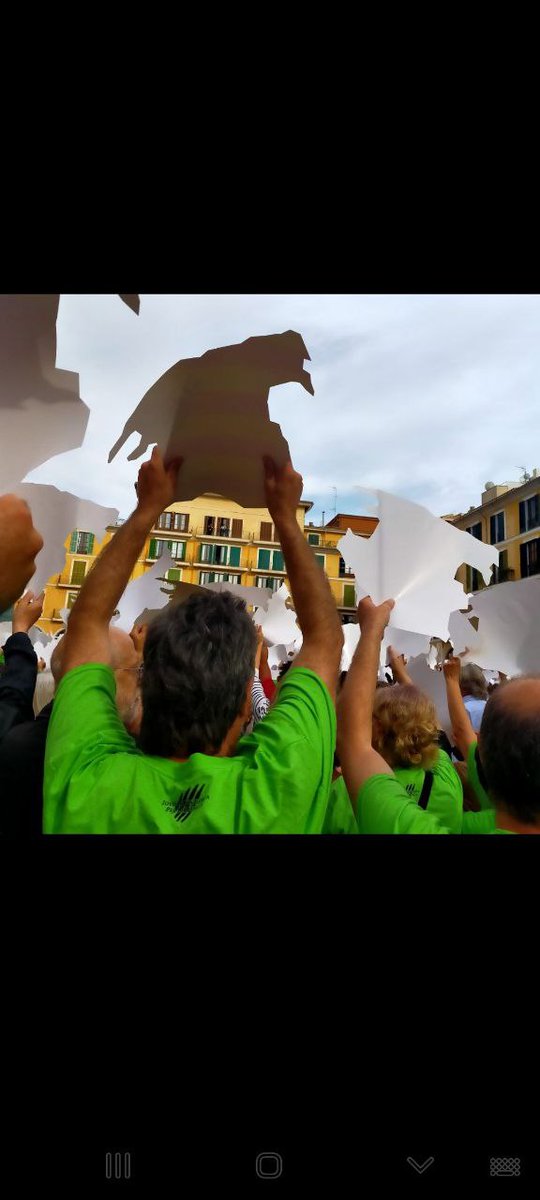 Avui hem participat a la manifestació en defensa de la llengua catalana a Palma ✊🏻. 
Mallorca diu sí a la llengua.
#Síalallengua
#Independència
#Socialisme
#Feminisme
#Ecologisme
#PaïsosCatalans