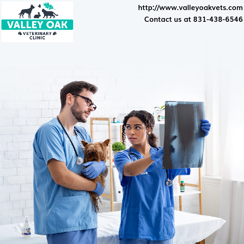 When your pet needs urgent care, count on us to be there! 🤝 #EmergencyAndCriticalCare #EmergencyCare #PetVeterinaryClinic #PetVeterinaryNearMe #PetVets
