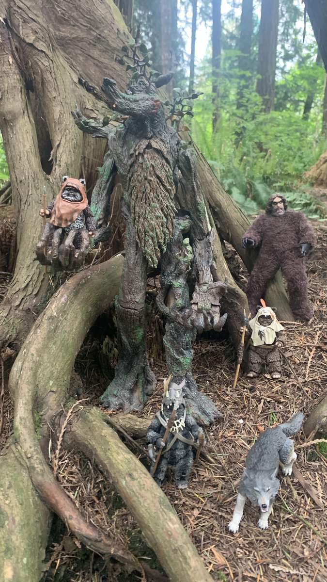 Great day to go outside and play with some toys! I borrowed TreeBeard from my buddy and promised I would take some fun shots with Samsquanch and some Murder Bears!! All you #InBoxers don't know what you are missing lol. #ActionFigurePhotography #StillPlaysWithToys