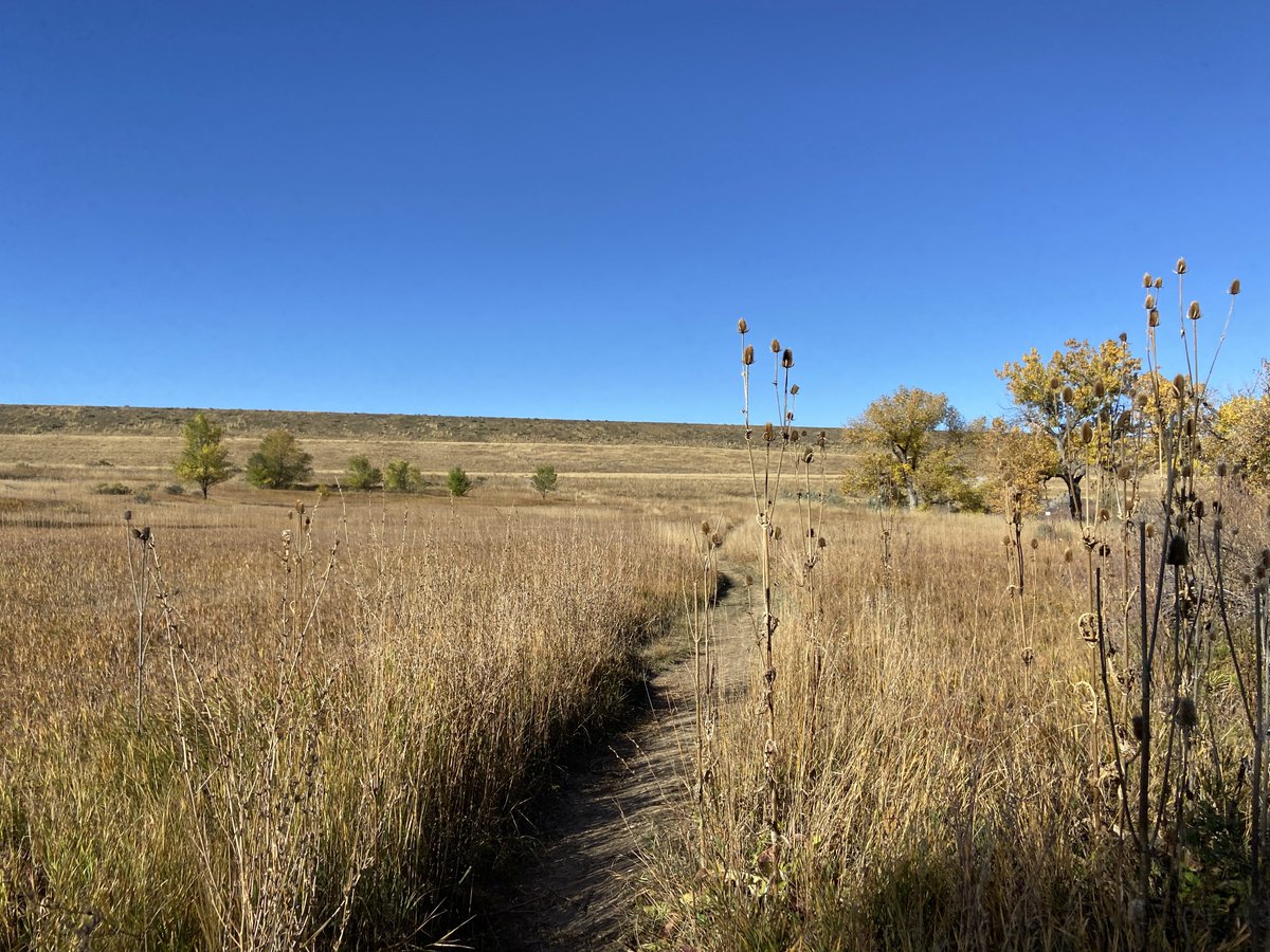 Segment 25 of the @DenverOrbital Trail continues our adventure along the Big Dry Creek Trail in @westminsterco! Very quickly, though, the route enters the open space around the Standley Lake reservoir. I love following the trails through the open space as the dam towers up ahead.