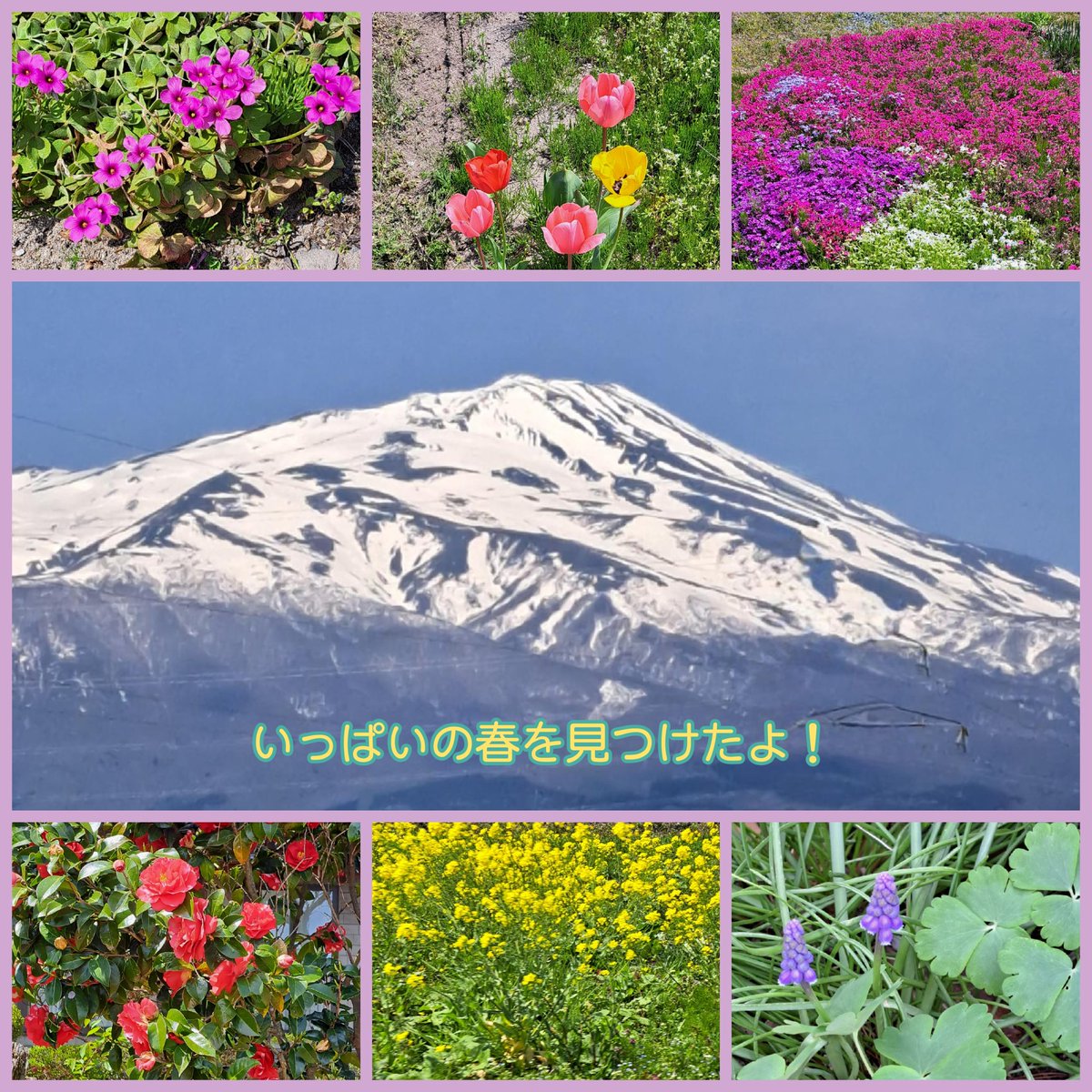 asu_ring0's tweet image. GWも最終日！
5月の景色🍀
『推し』の彼の目には
どんな春が映ってるのかな？
心穏やかに過ごせているといいなぁ😌

#328組