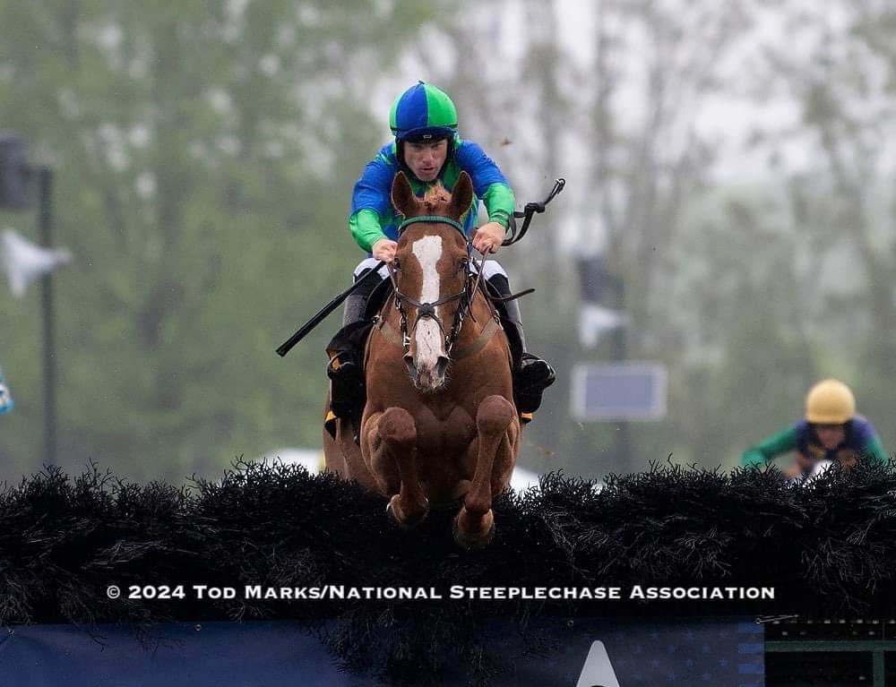 Congrats to local owners, Leiper's Fork Steeplechasers, for making history when Rampoldi plan, ridden by Jamie Bargary, and trained by Leslie Young, claimed the trophy in the first ever Commonwealth Cup Grade 1 Stakes Race at the VA Gold Cup yesterday.   

Another local owner,…