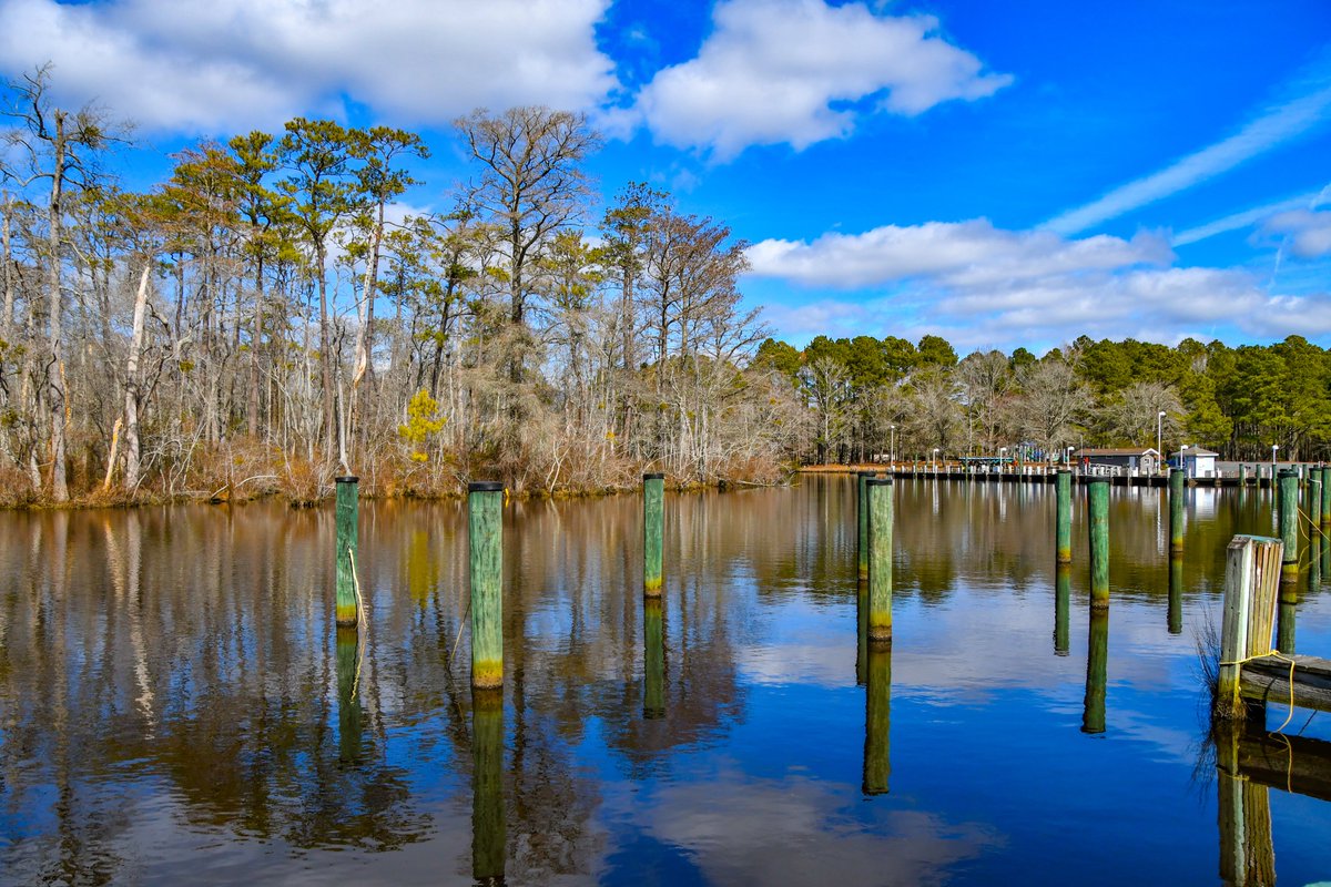 Beautiful Reflections at Pocomoke River State Park #PocomokeRiverStatePark #Maryland #Delmarva