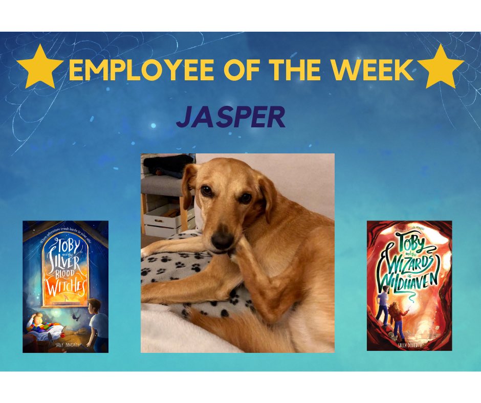 Employee of the week at Soaring Skies Publishing goes to Jasper 🐕 Jasper performed highly in Quality Control where he sniffed each and every new book stock to ensure there were no biscuits stuck between the pages.