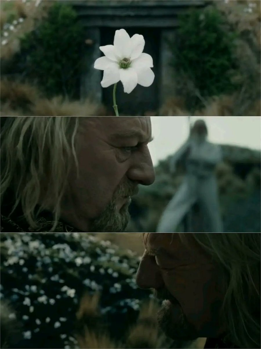 Descanse en paz mi rey de Rohan ❤️