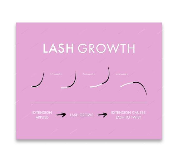 💧Lash Extension Growth Cycle Chart - Multicolor Digital Art Print Infographic - Lash Artist Branding Salon Decor - Digital Download Files by drypdesigns💧ift.tt/bBJ54PK #drypdesigns #digitaldownload #digitalart #graphicdesign #PNG