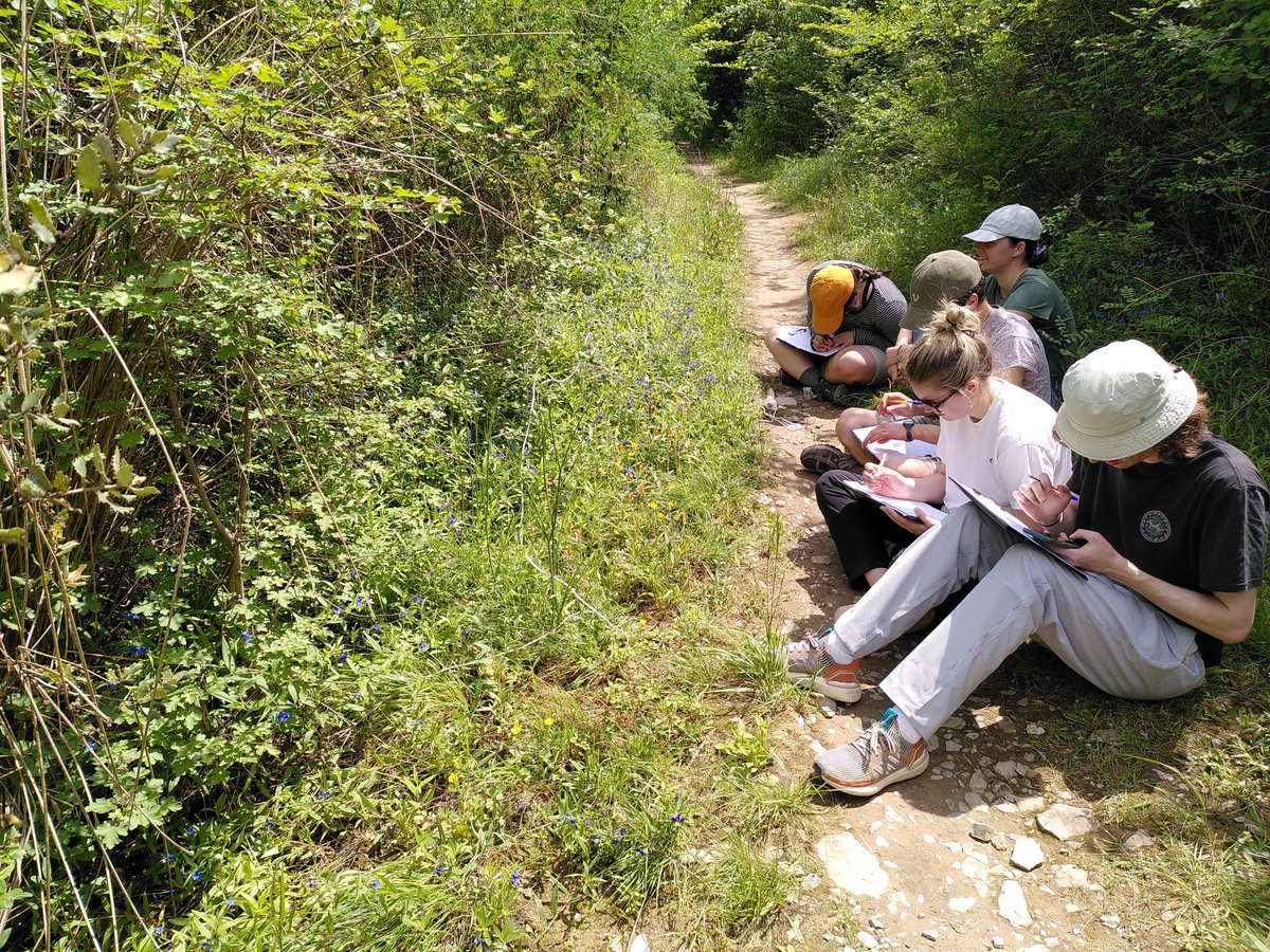 Today with @KU_Leuven was all about projects. Students were busy recording the behaviour of ants, 𝘎𝘢𝘮𝘮𝘢𝘳𝘶𝘴, spiders, pollinators, and invertebrates on invasive plants. Everyone’s highlight today was spotting the fantastic Spanish Festoon and Camberwell Beauty butterflies.