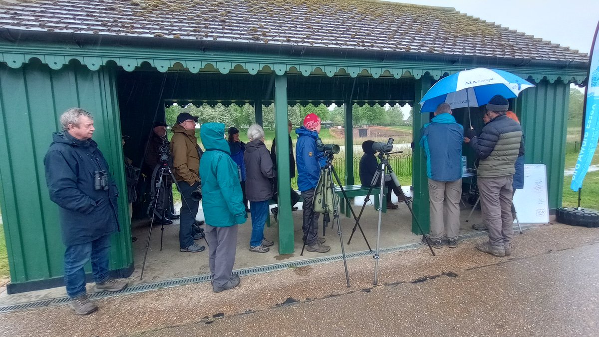Our most recent pop-up was really good fun despite the terrible weather! A big thank you to all at @BirdAwareEssex for taking part and to everyone who braved the elements. Special thanks to @doristhepost for baking 2 yummy cakes even though she couldn't come!👍 @EssexBirdNews