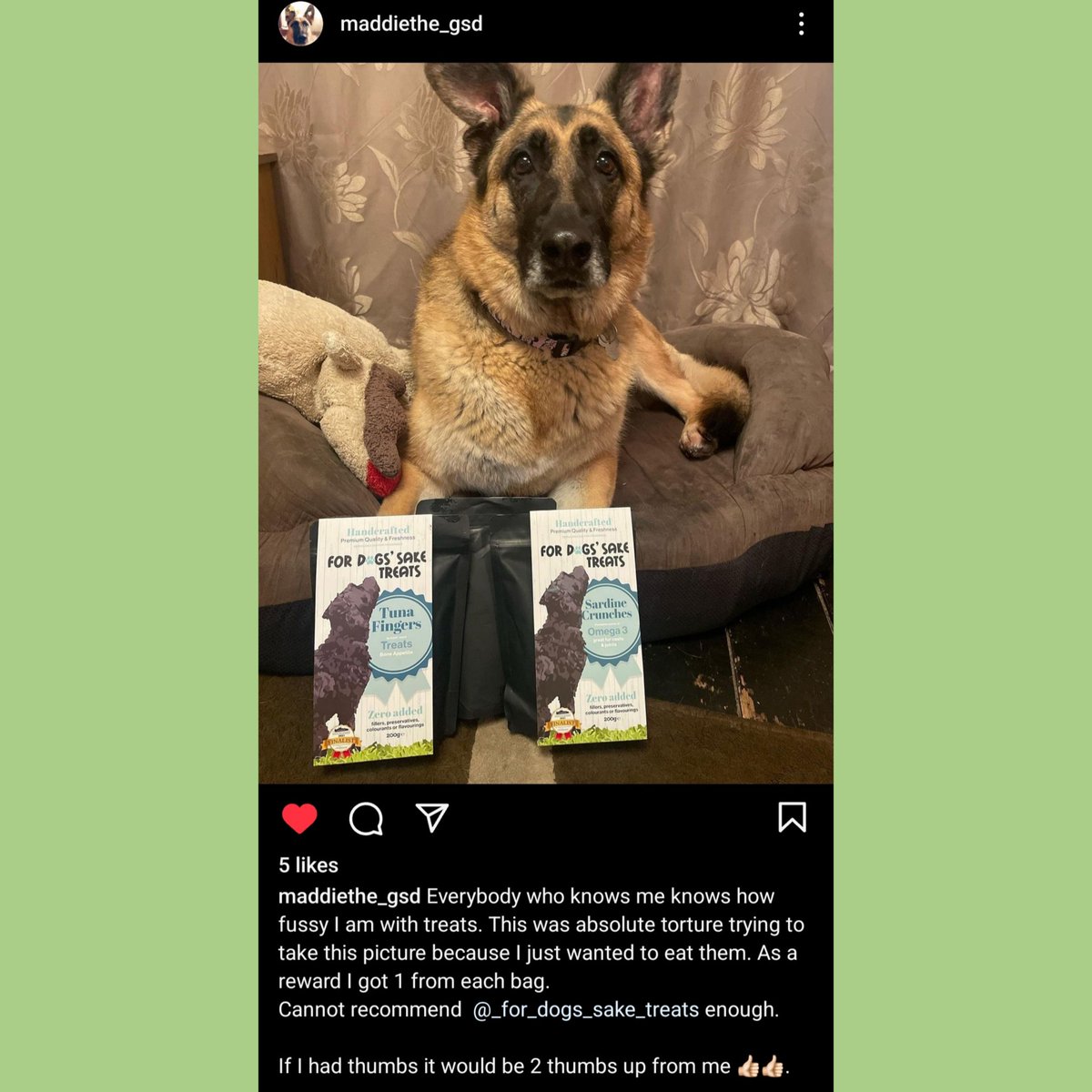 There were a LOT of German Shepherd Dog (GSD) customers at yesterday's market! Some of them even shared their love of their purchases from me! It really was a GSD (Great Sort of a Day)! 💚🐶💚 #SmallBusinessWeek #SmallStreamersCommunity