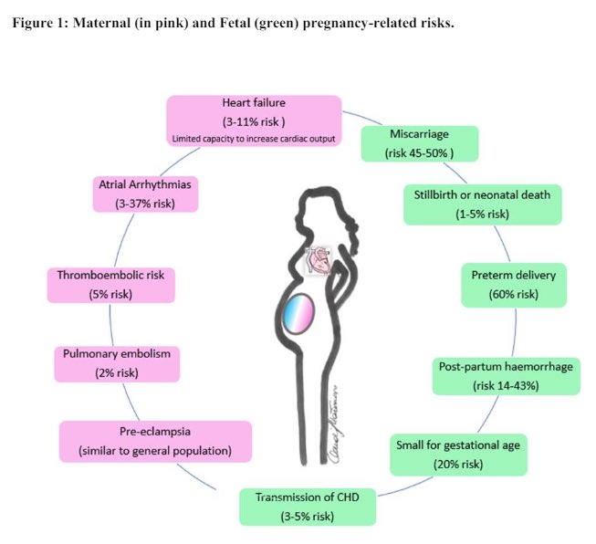 Pregnancy in Fontan patients? 

A review of the fetal/maternal risks and clinical management during pregnancy, complemented by a handy CHECKLIST for counselling. 

European Journal of Preventive Cardiology, lnkd.in/dNHnfYMg