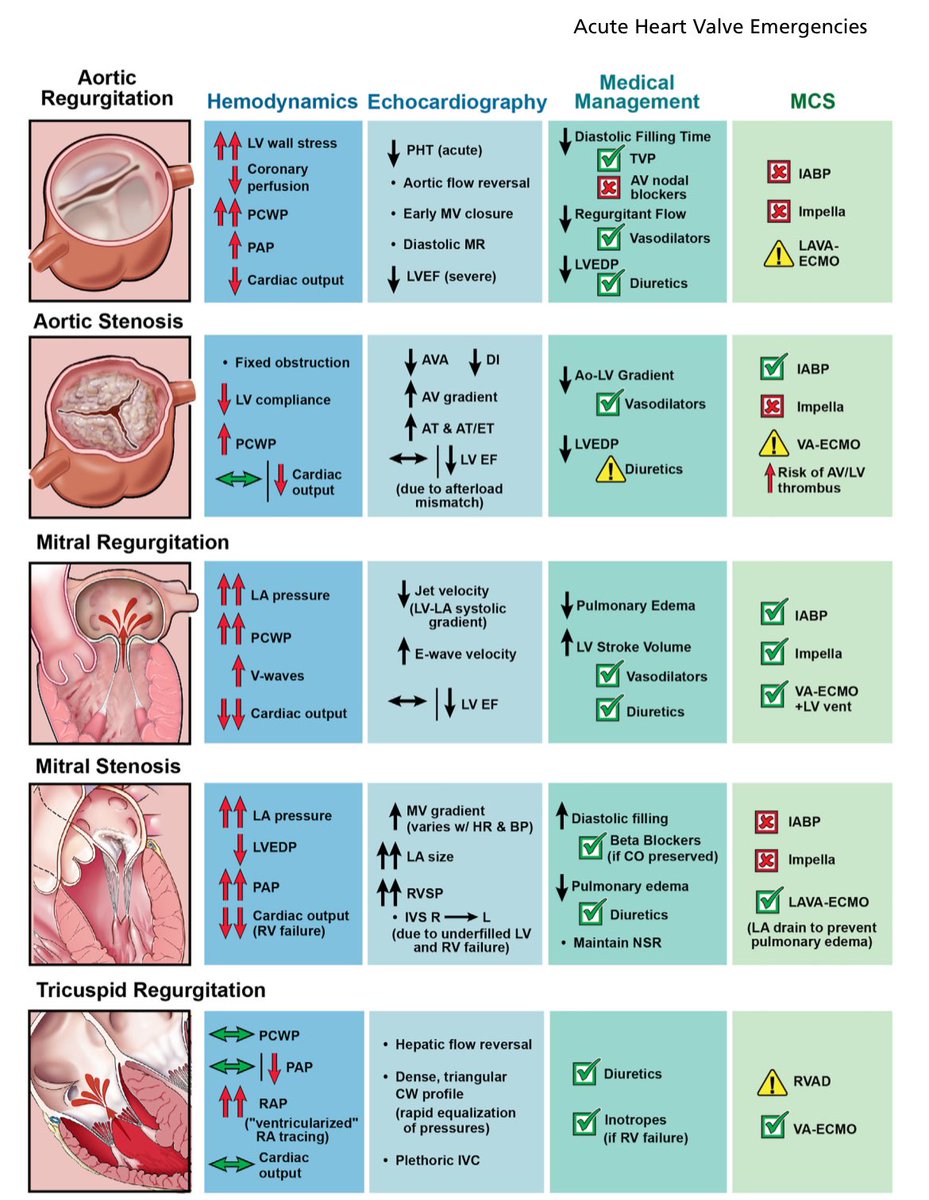 📌Emergencias en valvulopatías agudas •Fundamental entender la valvulopatía para estabilizar con el objetivo de llevarlo a la resolución quirúrgica o percutánea •La IM aguda puede ser devastadora si no hay remodelado previo de las cámaras izquierdas •IT raramente llega al…