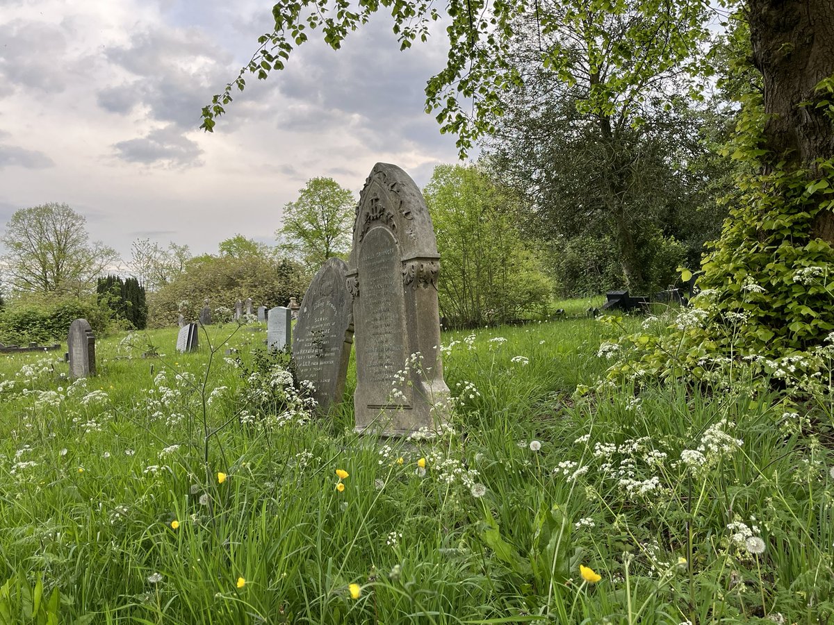 We’ve had a gorgeous day here, temperature still mid teens on our #EveningWalk plenty of birdsong in the churchyard, wood smoke & BBQ smells wafting across, fairly quiet on the roads 🥾💚🌿🌤️