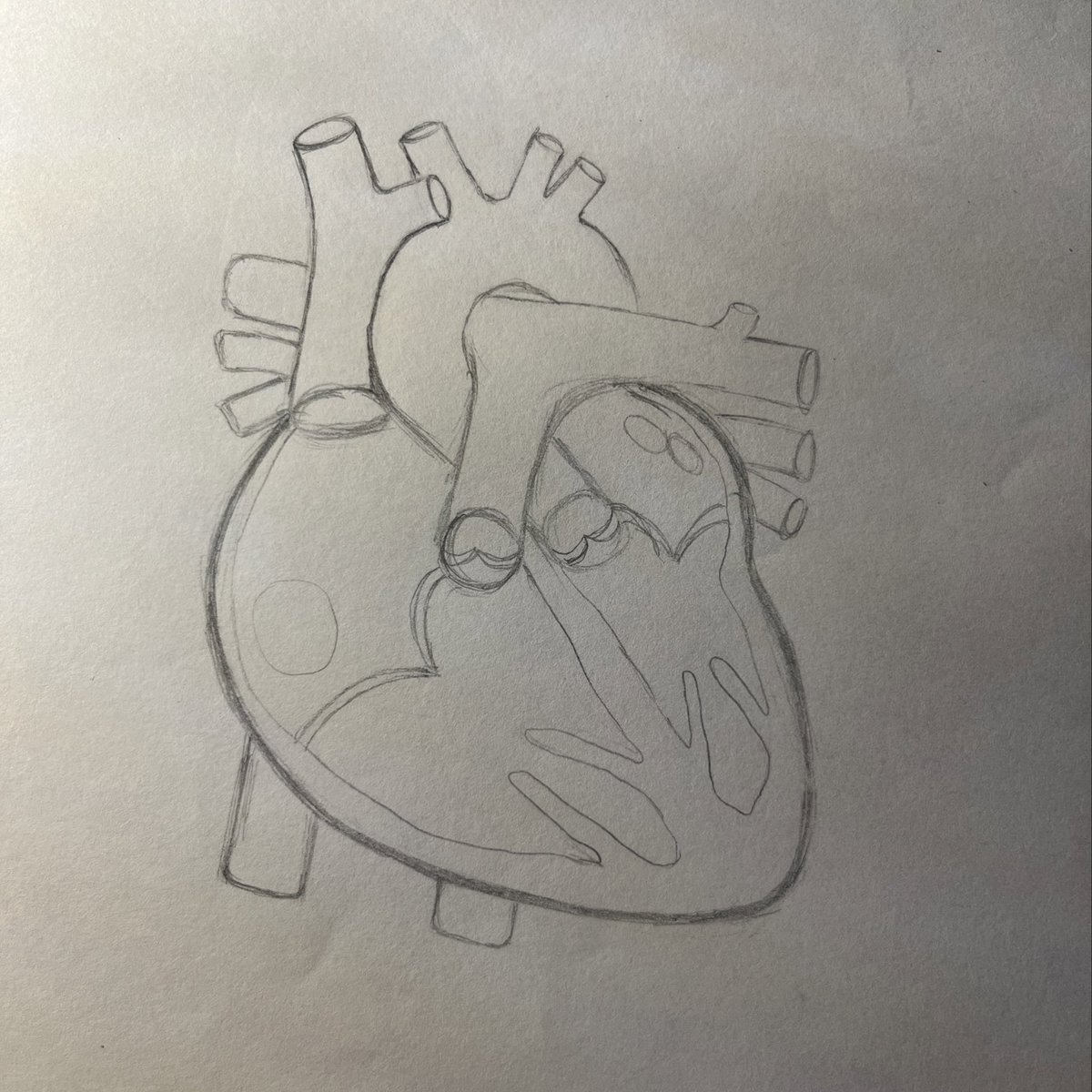best heart i’ve ever drawn… it’s literally just for a shitty ass diagram 😭