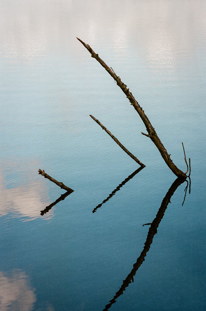 thinktk's tweet image. Recent photo walk with Portra 400. #BelieveInFilm