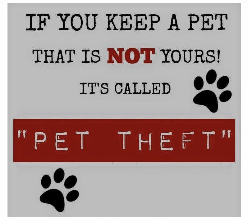 #StolenDogHour 

Every SUNDAY 8-9pm 
Starting weekly 12/5/24 

⬇️⬇️⬇️ #Theftbyfinding ⬇️⬇️⬇️

ITS LAW TO REPORT A FOUND DOG 
IF YOU DONT AND KEEP / SELL / OR GIVE THE DOG AWAY 
🚨🚨ITS THEFT🚨🚨