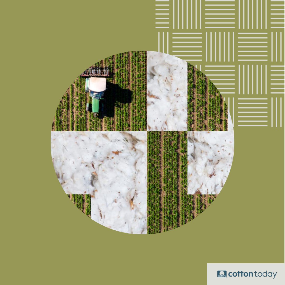 #Cotton is very efficient at sequestering #carbon. An acre of no-till cotton stores 350lbs more of atmospheric carbon than it emits during cotton production, meaning that its contribution to the carbon equation is net negative. Learn more: cottontoday.cottoninc.com/our-sustainabi…
