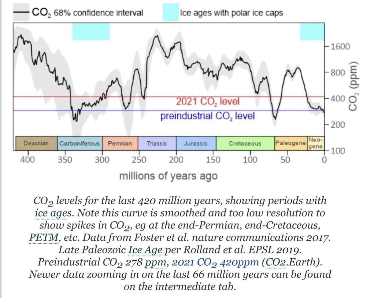 The last time carbon dioxide was as low as today was in the Carboniferous, when the vast Karoo Ice Age lasted 95 million years. CO2 sustains life & provides oxygen for all living things on land & sea. The steady loss of CO2 over millennia is the greatest threat to life on earth.