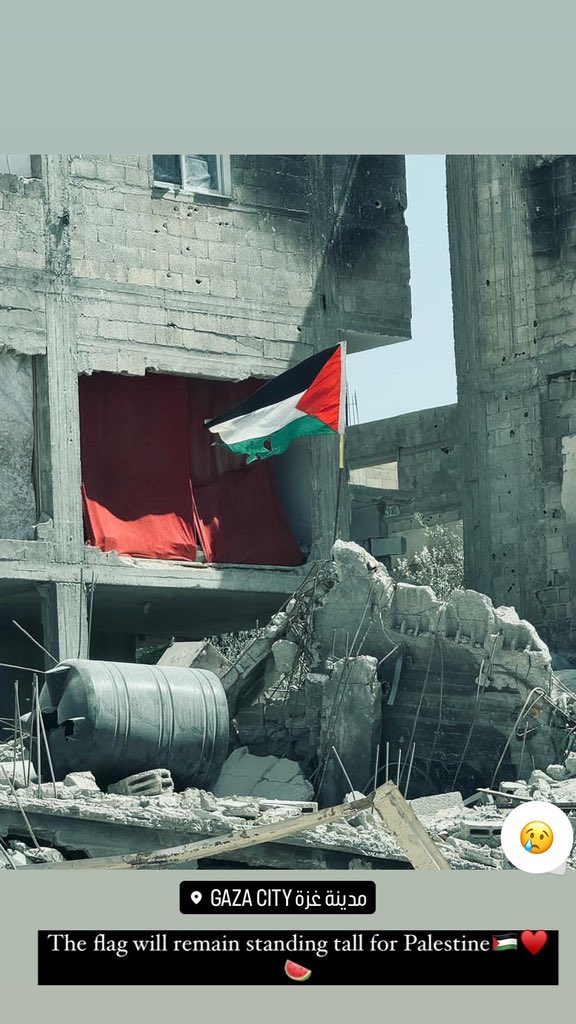 The flag will remain standing tall for Palestine🙏🏻💔🇵🇸
#FreePalenstine #GazaAttack #GazaGenocide #GazaAttack