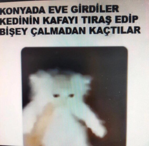 ece_gunerr's tweet photo. İyi pazarlar https://t.co/MRHX1fLLqB