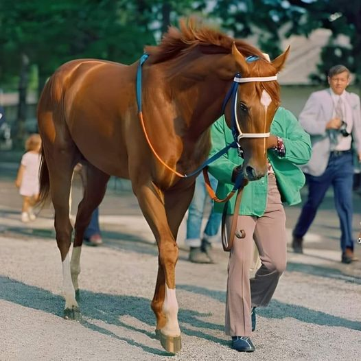 Only 13 horses have won the Triple Crown in its 100-year history. And of those 13, only one, Secretariat, broke all 3 track records and all 3 of his records still stand today...