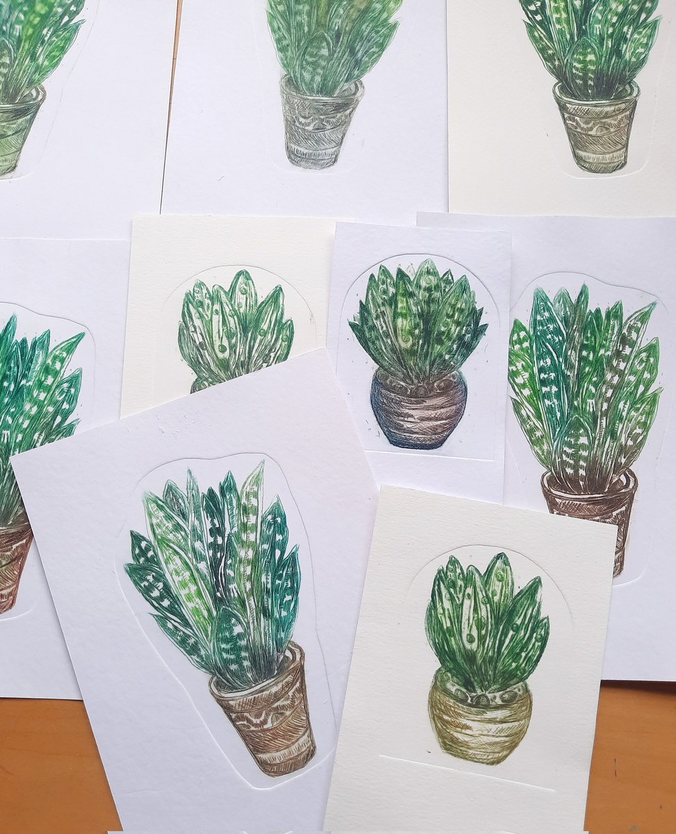 🌿 A new set of original prints! 🪴
Plant themed drypoint etchings 🌱
#printmaking #HandmadeHour #popmembers