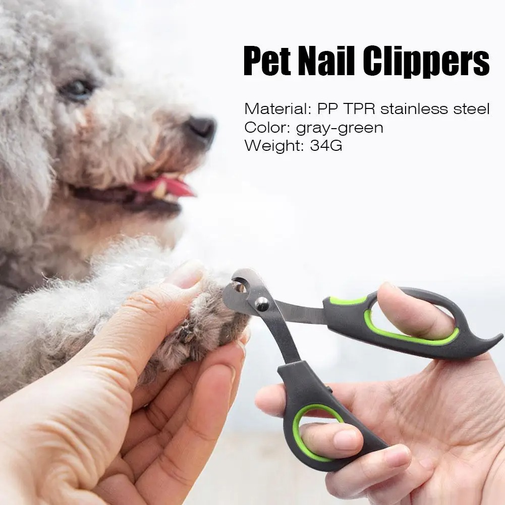 ✂️🐾 'Snip in Style' - Universal Pet Nail Clippers for All Pets 🐕🐈
bingopets.shop/universal-pet-…

#dogsoftwitter #DogsOnTwitter #pets  #dogstyle #dogstuff #Dog #Dogechain #petshoponline #petshopboys #petshaming #Cat #Cats #CatsOfTwitter #kitty #ilovecats