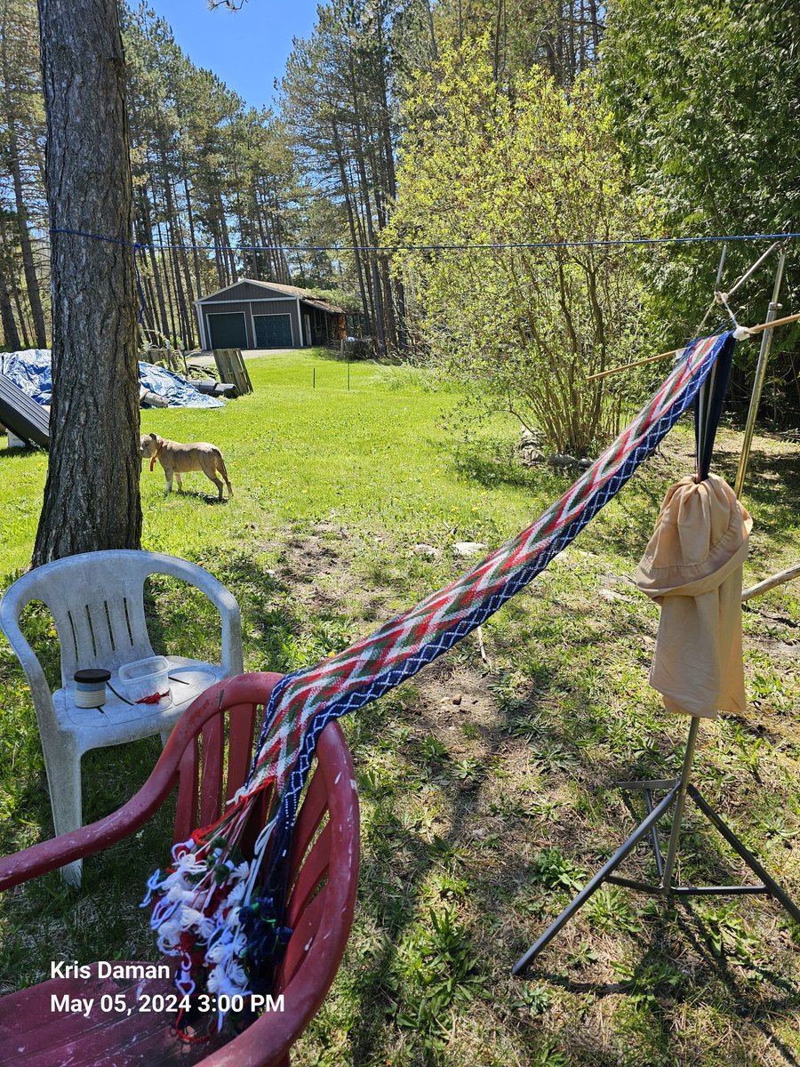 Happiness is fingerweaving in my backyard with my dog & drinking hot coffee. The yellow bag opposite the sash hold the other half of it.
The barn in the background is my neighbors. 
#fingerweaving ##tissageaudoigt #jaggerspunyarn #northernmichigan