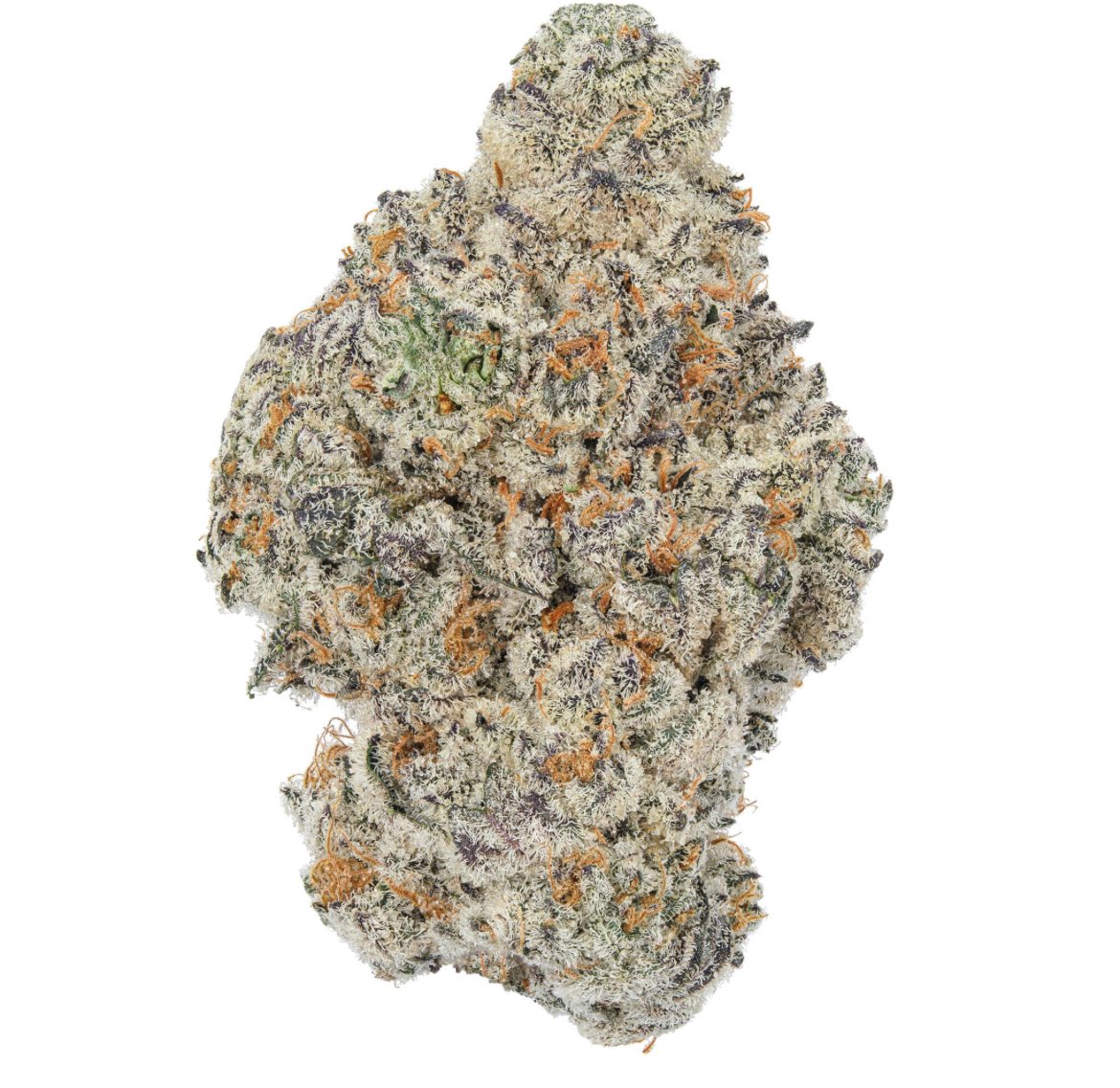 LAMAR ODOM tweet media