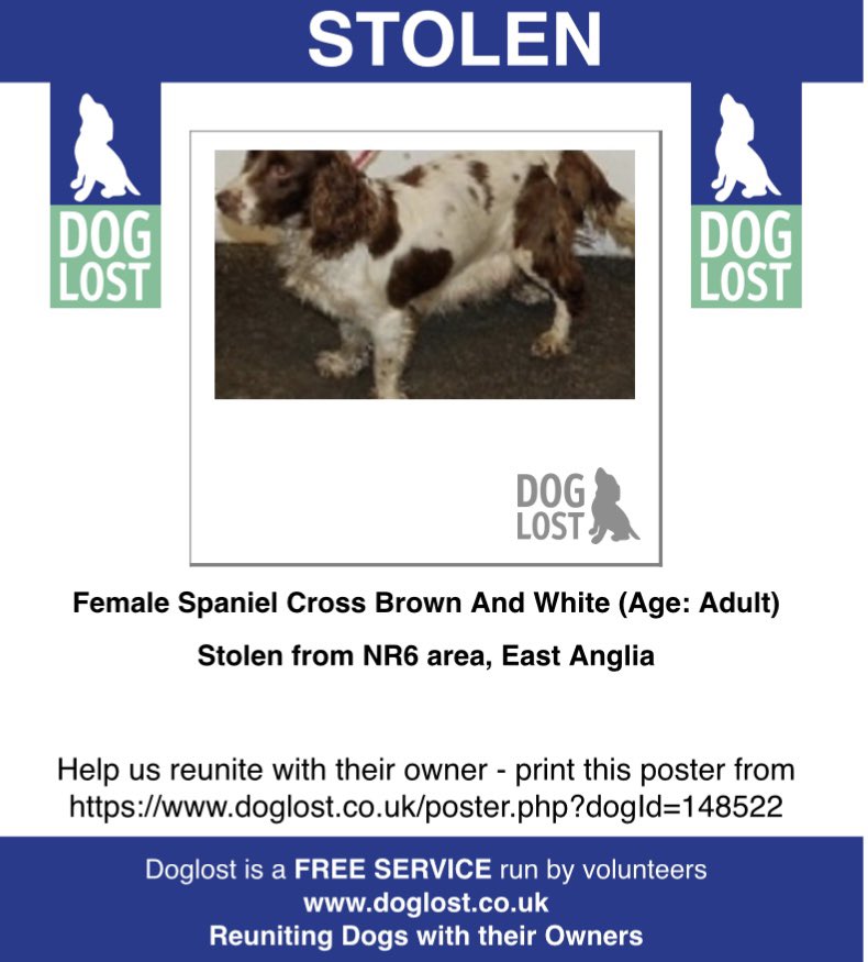 #StolenDogHour NAME UNKNOWN #STOLEN FROM #Norwich AIRPORT AREA #Norfolk 14/9/19 #NR6 Female/adult #Spaniel x Brown&white CHIPPED doglost.co.uk/dog-blog.php?d…
