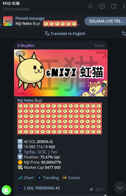 $NIJI whales are in! LFG army! 🐈 #SolanaMemecoin