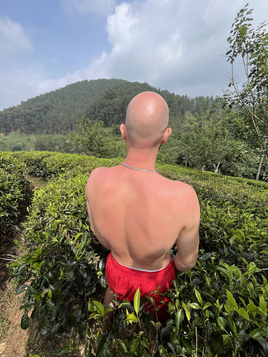 Take a moment to soak in the serenity of this lush tea plantation. 🍃 Do you love tea as much as I do? Let's share our favorite blends and brewing moments
#musclewatching  #fitment  #strengthandbeauty #malephysique  #Athleticmen #swimmersbody  #MuscularAesthetic #TeaLover