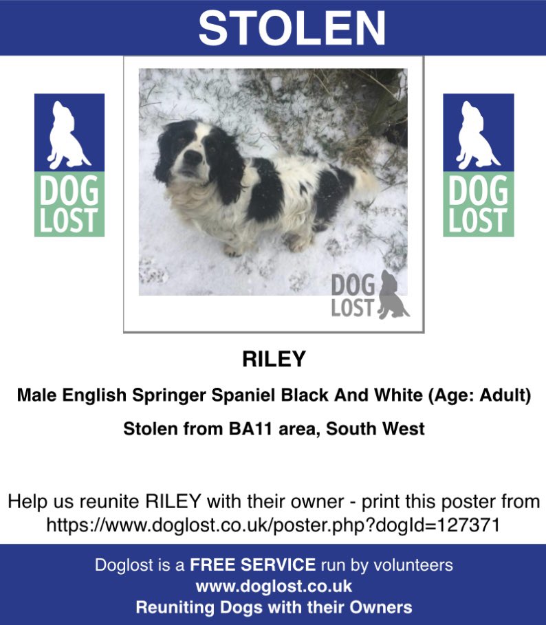 #StolenDogHour RILEY #STOLEN #AshamQuarry #Chantry #FROME 1/4/18 UNLIKE HIM NOT TO FIND HIS WAY HOME Male/adult #ESS black & white CHIPPED & NEUTERED doglost.co.uk/dog-blog.php?d… @RachaelB100 @JacquiSaid @BryantDjbryant @juliagarland73 @thedogfinder @TeaboyTeddy