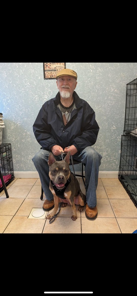 It took some time and patience but Derrick finally, FINALLY found his forever home!

 #animalshelter #animalshelters #fpas #rescuelife #rescuedogs #rescuedog #shelterdog #shelterdogs #animalrescue #rescue #PleaseShare #dogsofinsta #foreverpawsfamily #community #adopt #familypets