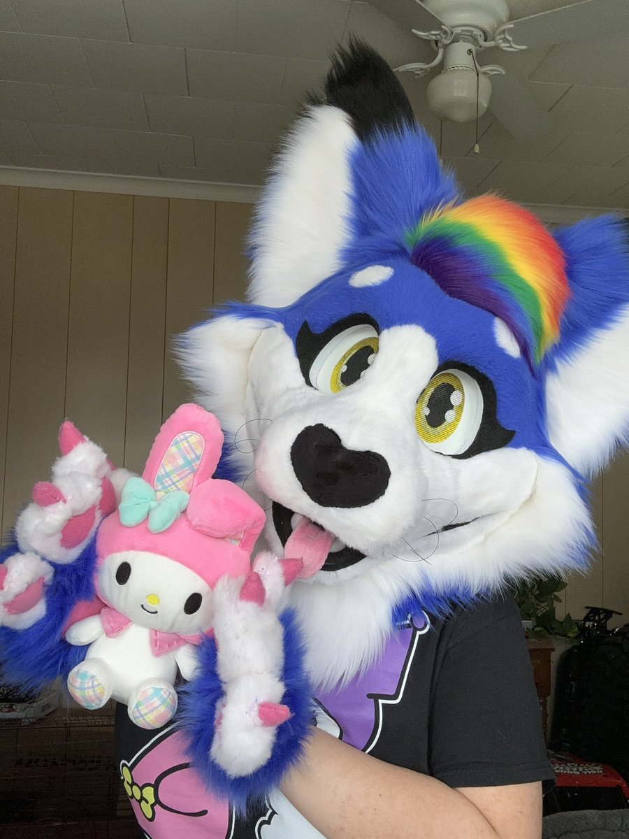 cindythecolf4's tweet photo. Haii :3
I’m Cindy the Cat! 
I’m a Fluffy friendly blue cat with rainbow hair~ sometimes a badass grey wolf with pink hair, and other aminals 💗
I own a Discord server with a very friendly and welcoming community always glad to have new members. 
🐈
⏬
https://t.co/GkT0QYYre6 https://t.co/geqWDl3Gji