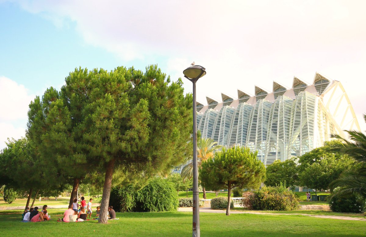 Qué sorpresa te llevas en València cuando visitas el antiguo cauce del Río Turia🌿 y descubres el ambientazo que se respira. ¡Uno de los jardines urbanos más grande de España!💚 visitvalencia.com/que-ver-valenc… #EUGreenCapital