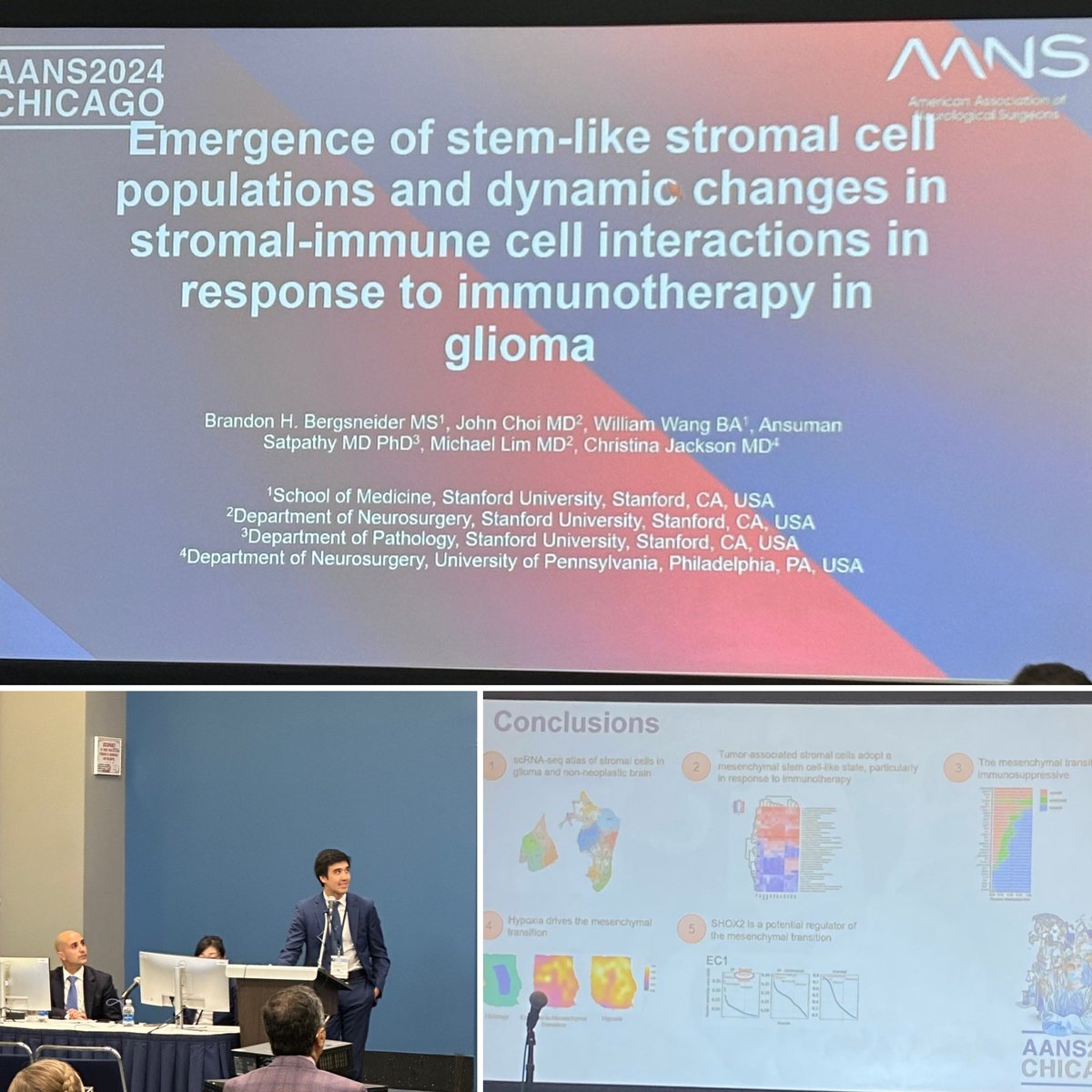 A great presentation on stem-like stromal cells and their interactions with immunotherapy for glioma treatment by Stanford MS3, @BrandonBergs ! @StanfordNsurg @StanfordMed @MichaelLimMD @DoctorZada @NeurosurgeryUSC @MCWNeurosurgery