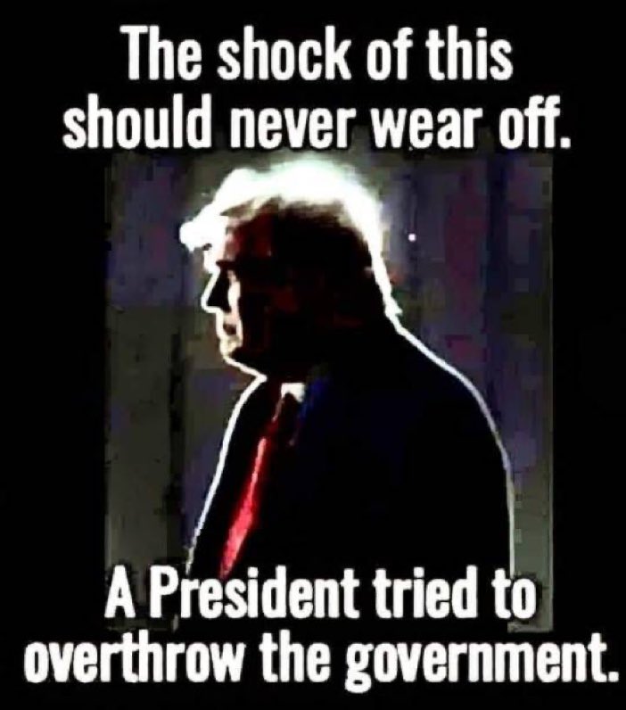 #NeverForget that on January 6, 2021, Donald Trump told a violent mob to go to the US Capital and to “fight like hell.” They did exactly as he told them, and Americans died as a result. No president before Trump ever betrayed his country. And, he must never have the chance to…