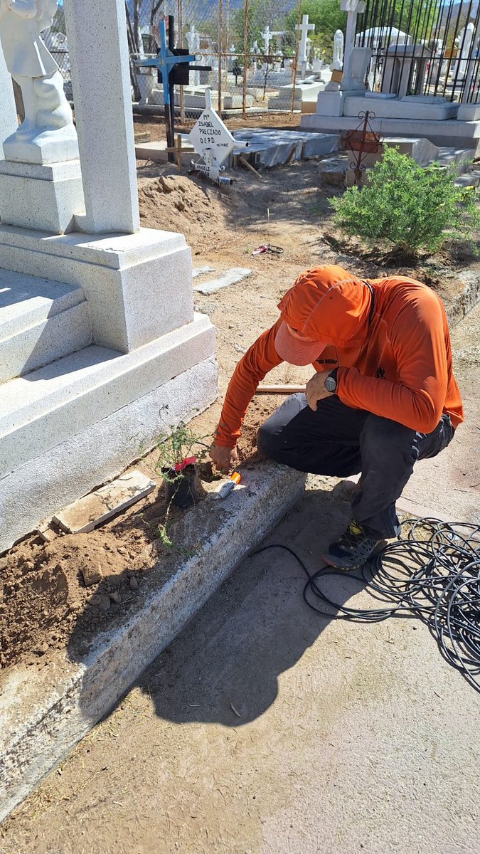 Listo! Ya tenemos todas las 200 plantas polinizadoras del jardín Artemisa listas con sistema de riego en el Bosque Memorial. Ahora a cuidarlas para que se llene todo de flores. #EfectoPolinizador #GeneracionRestauracion