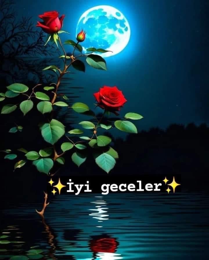 Doğruluk,🌷🌷🌷🌷 dürüstlük,🌹🍃🌹🌹🍃🌹 güzellik vazgeçilmezlerimiz olsun.. Gülüşünü kaybedersen tekrar geri kazanabilirsin ama duruşunu kaybedersen, gülüşünü🌹🍃🌹🍃🌹 hiç bir zaman kazanamazsın...! Huzurlu geceleriniz olsun.. Can DOSTLAR. #iyigeceler