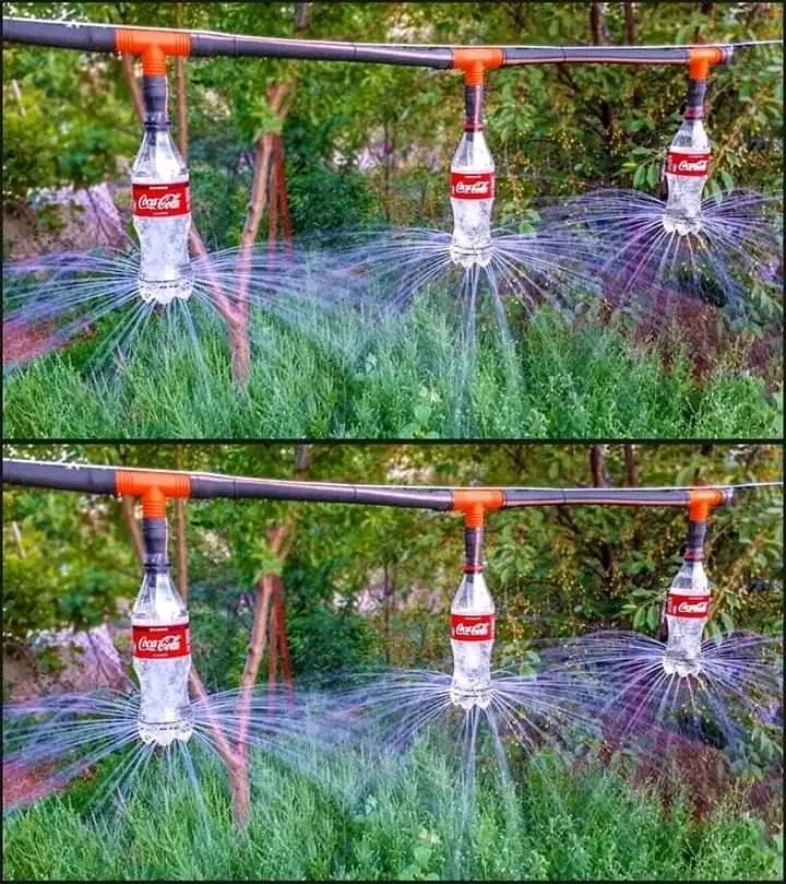 Special irrigation techniques 

Your thoughts ?