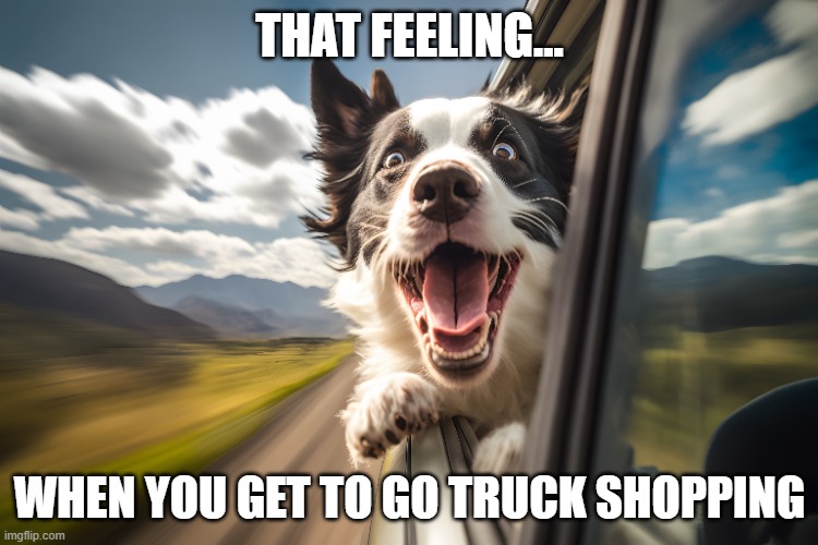 🚚 No matter the task, allow us to assist you in finding the perfect truck to get the job done! 💪🛻

👀 Explore our range of trucks and vans today at brnw.ch/21wJukz

#CommercialTruckTrader #WorkTrucks #TrucksForSale #VansForSale