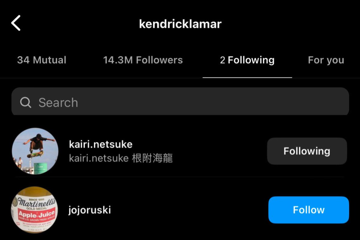 kendrick lamar has followed kairi netsuke