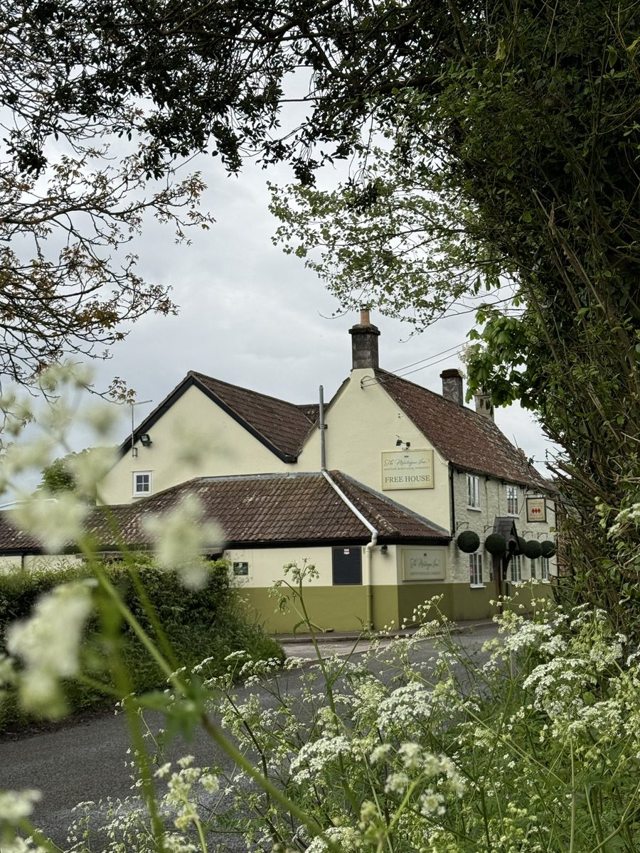 A walk around the block followed by lunch at our old local. Great to catch up with Sean and Suzy. 

<a href="/TheMontagueInn/">The Montague Inn</a> 

#somerset #somersetpub #publunch #pubwalk #sheptonmontague #bruton #BankHolidayWeekend