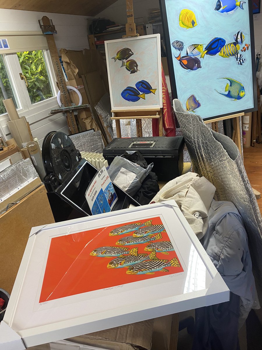Just finished framing my new Limited Edition Giclee Print ‘Sweetlips - Orange’. Individually hand signed, titled and numbered, edition size /250. Ready for the Groombridge May Day Fair tomorrow (6th May). #tropicalfish #sealife #langtongreen #groombridge #tunbridgewells